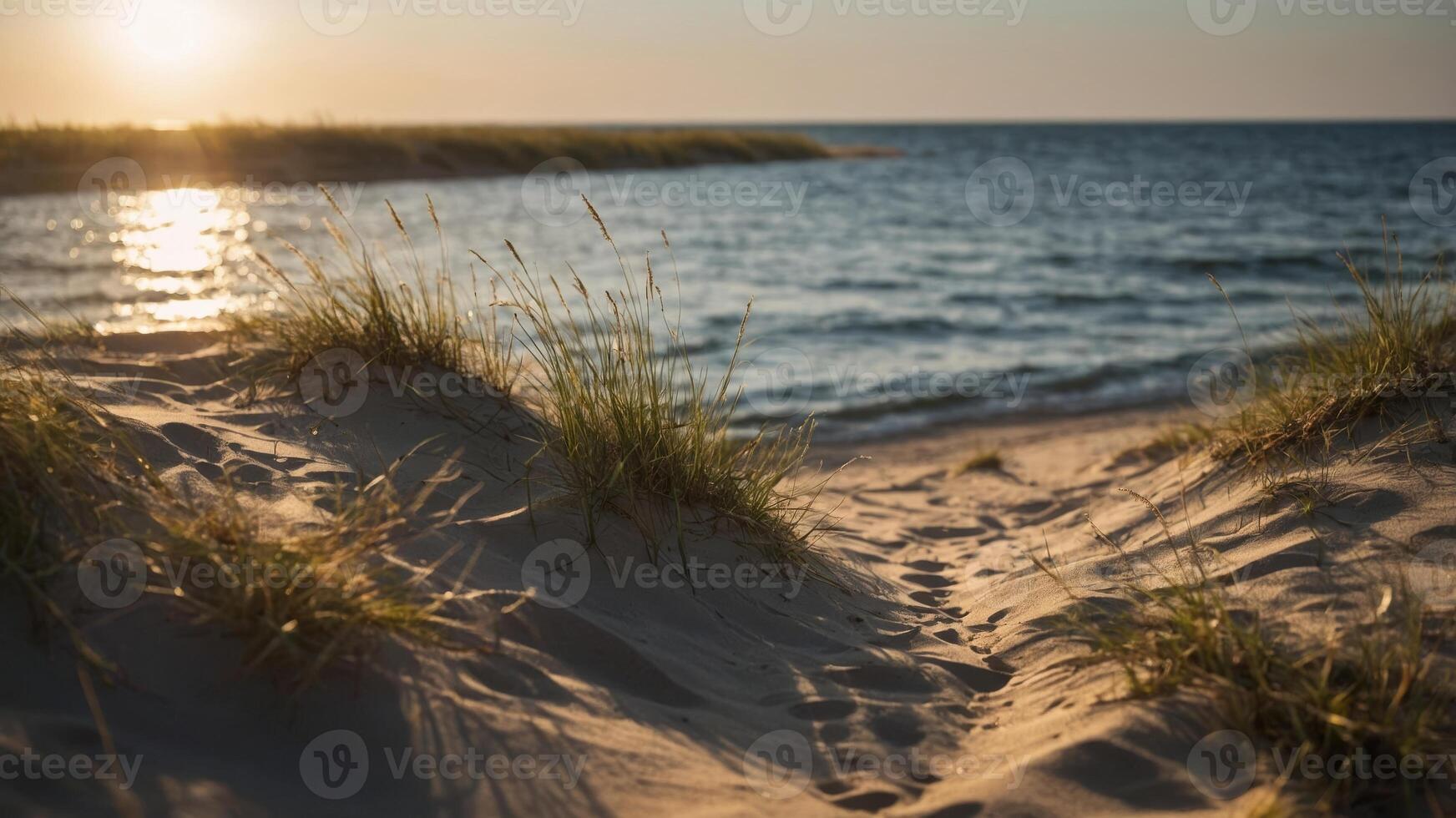 The sun's rays bring the dunes to the Baltic Sea. photo