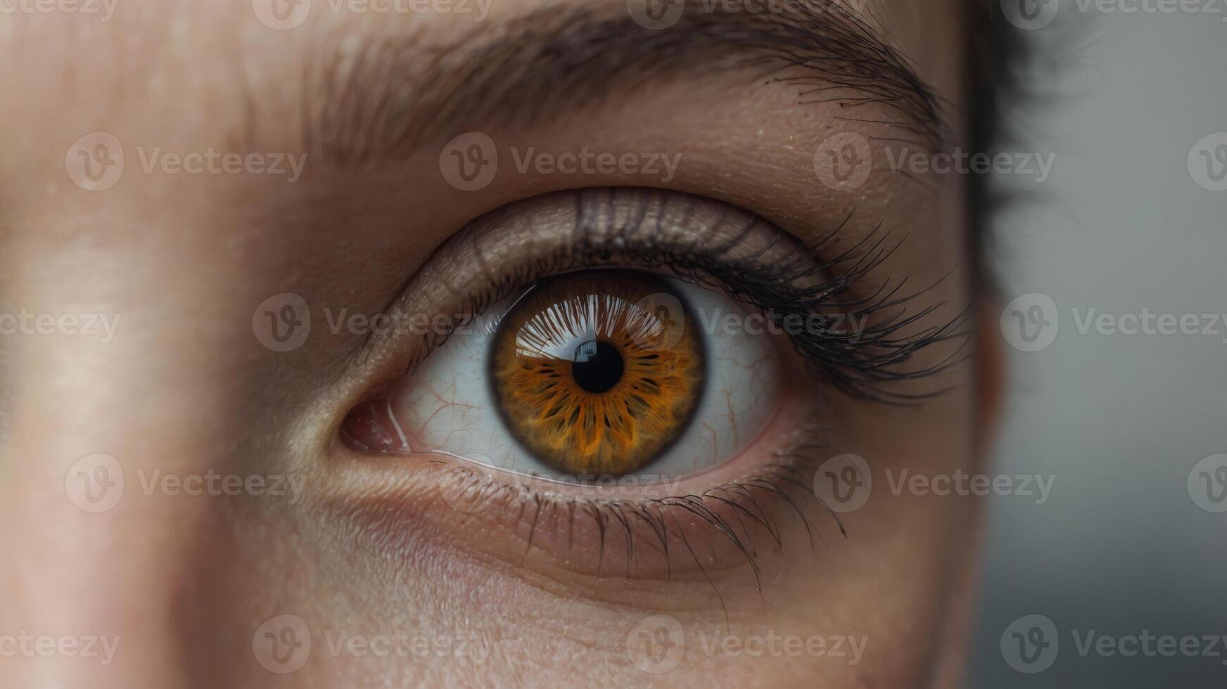 A close up of an eye looking into the distance. photo