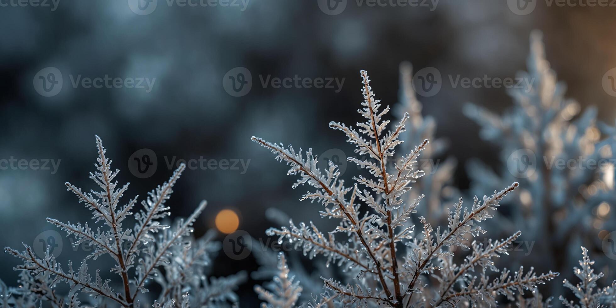 Stunning frost covered decoration as copy space image on glass. photo