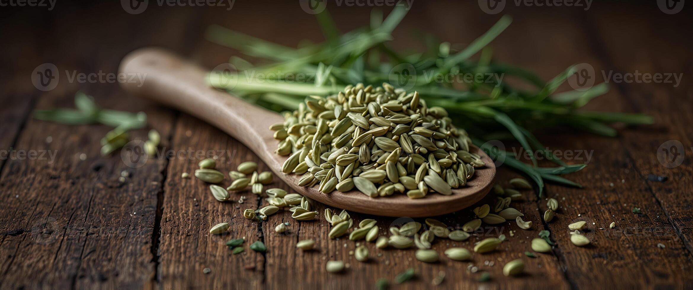 Fresh fennel seeds and leaves on a rustic table, Chinese herb, used in cooking and remedies. photo
