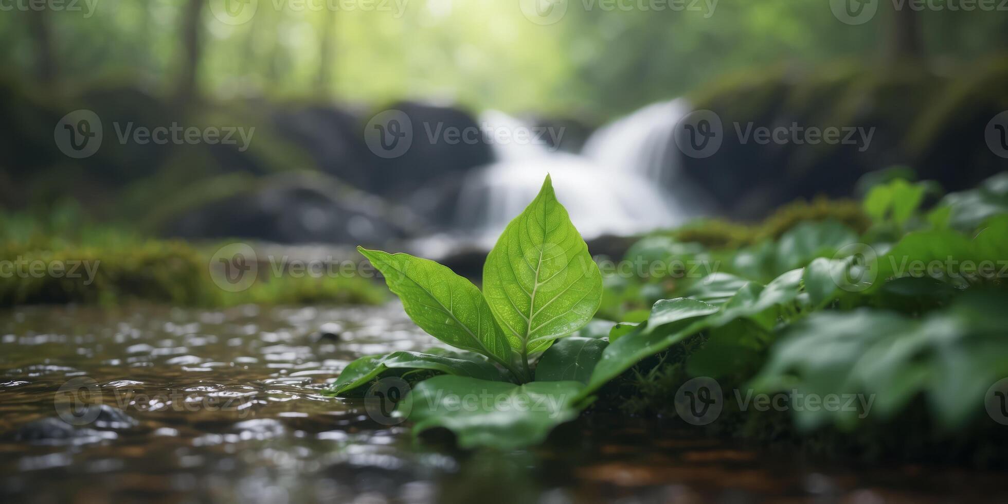 A tiny waterfall, nestled in a forest, sports a drifting green leaf atop its crest. photo