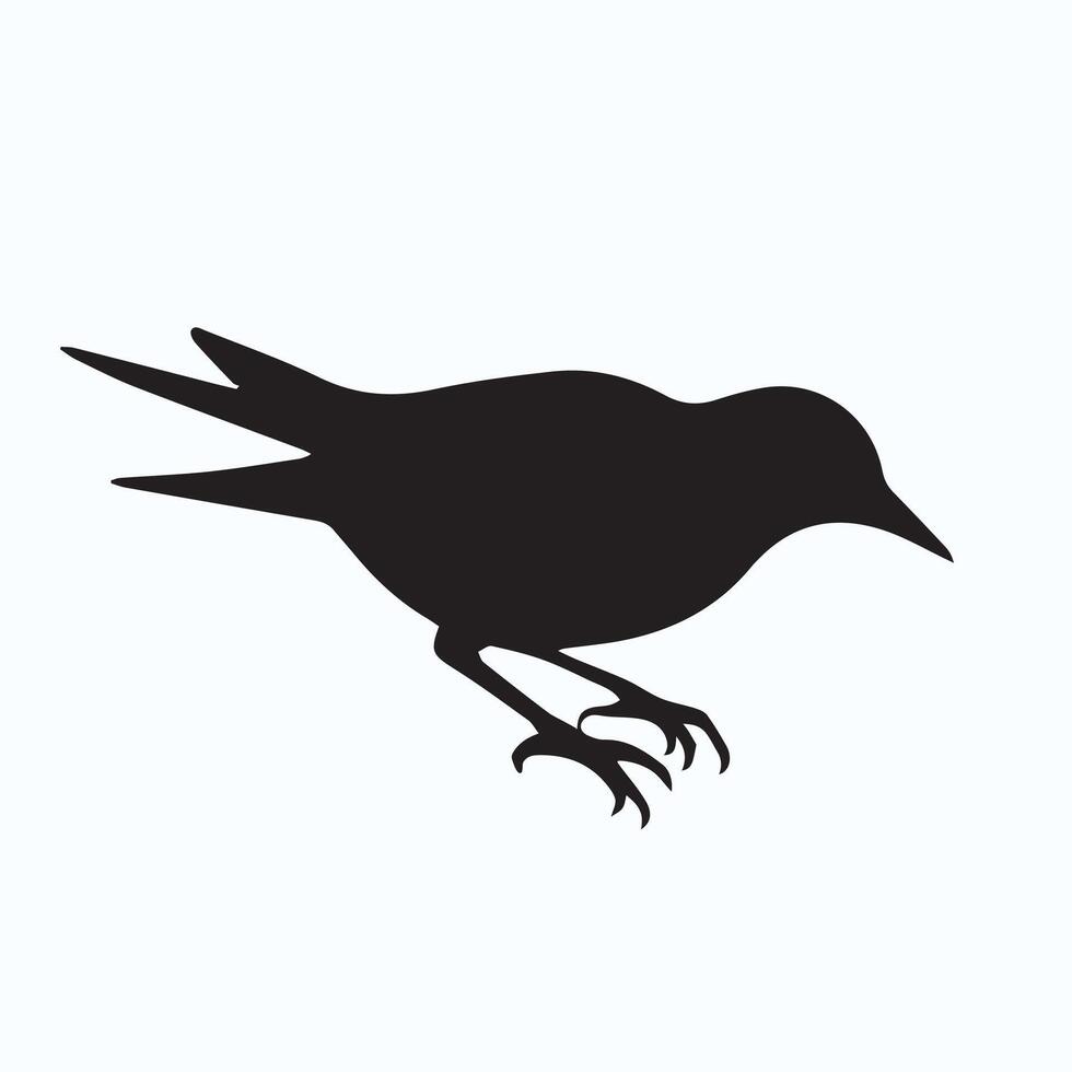 bird silhouette icons vector