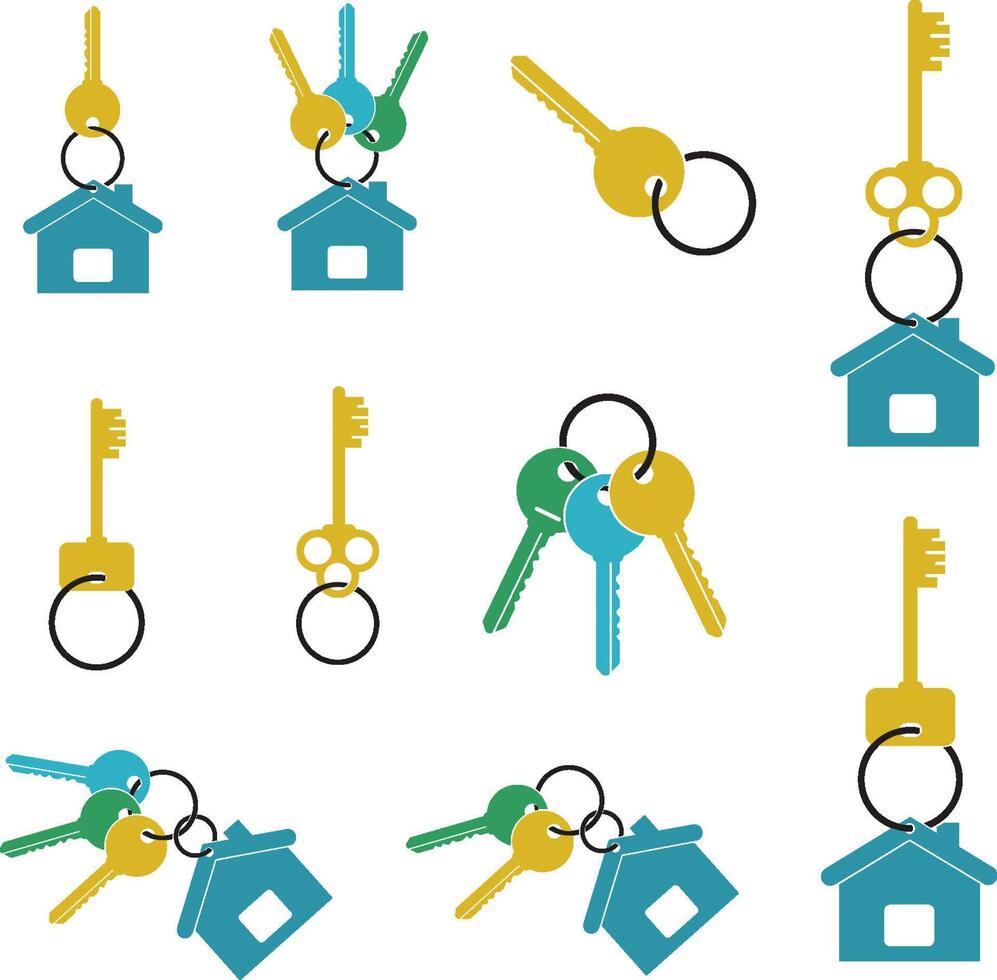 colored keys and keychain set on a white background vector