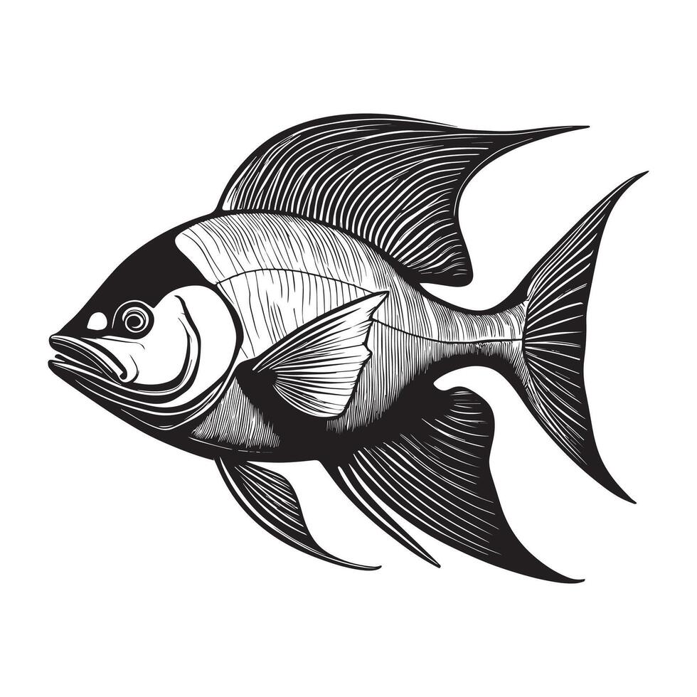 fish drawing art vector