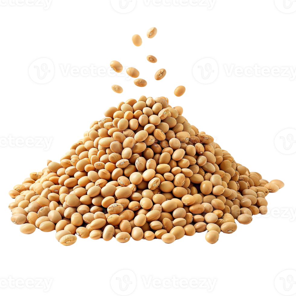 pile of soybeans on transparent background png