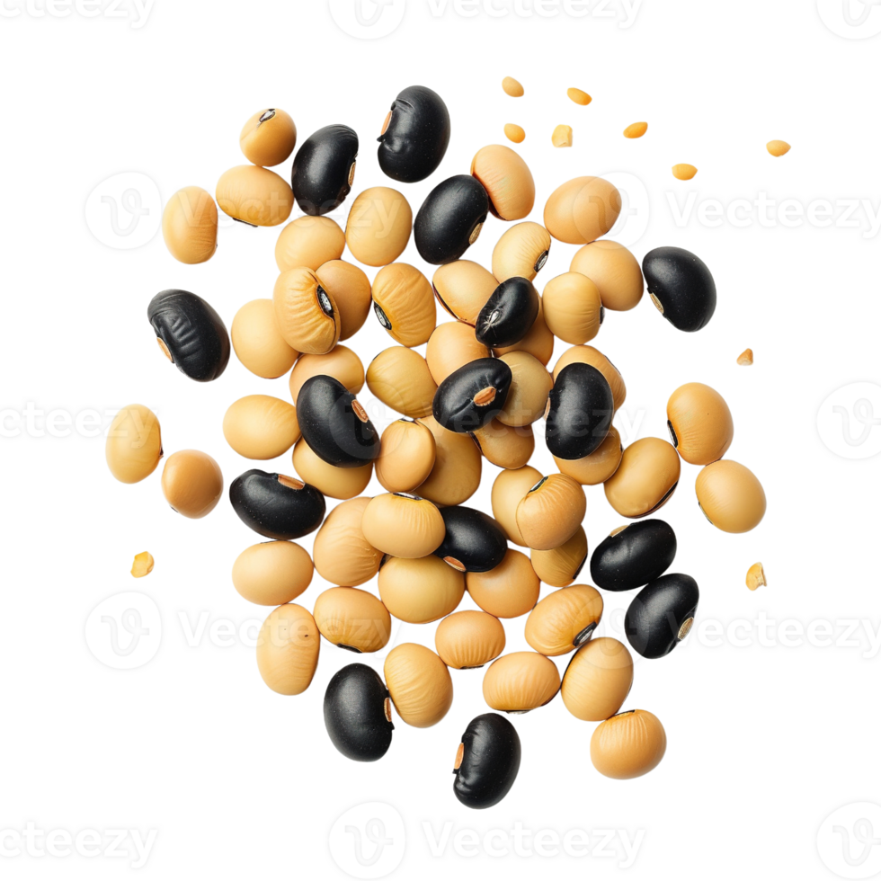 soybeans, taken from above, on a transparent background png