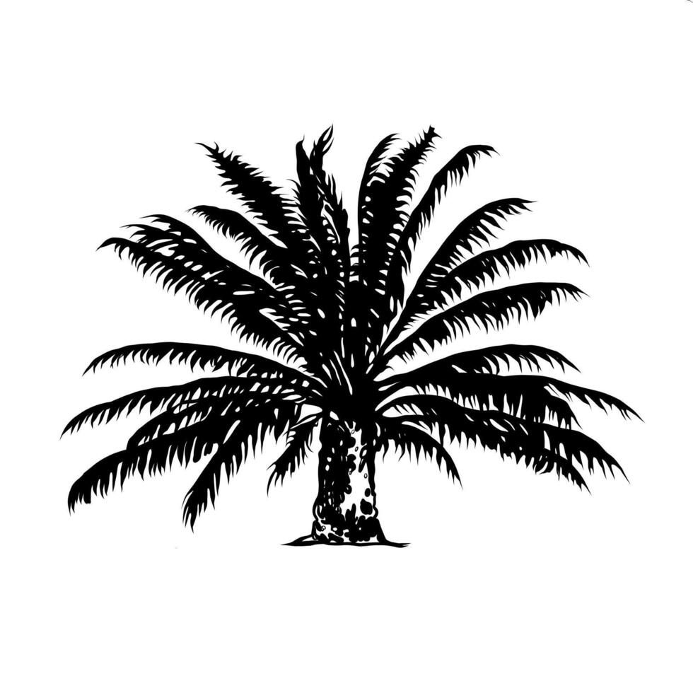 illustration of a tropical two palm tree, single element. Line drawing, doodle style. Hand drawn realistic illustration of an exotic tree for design and decoration. Tropics, sea, beach holiday. vector