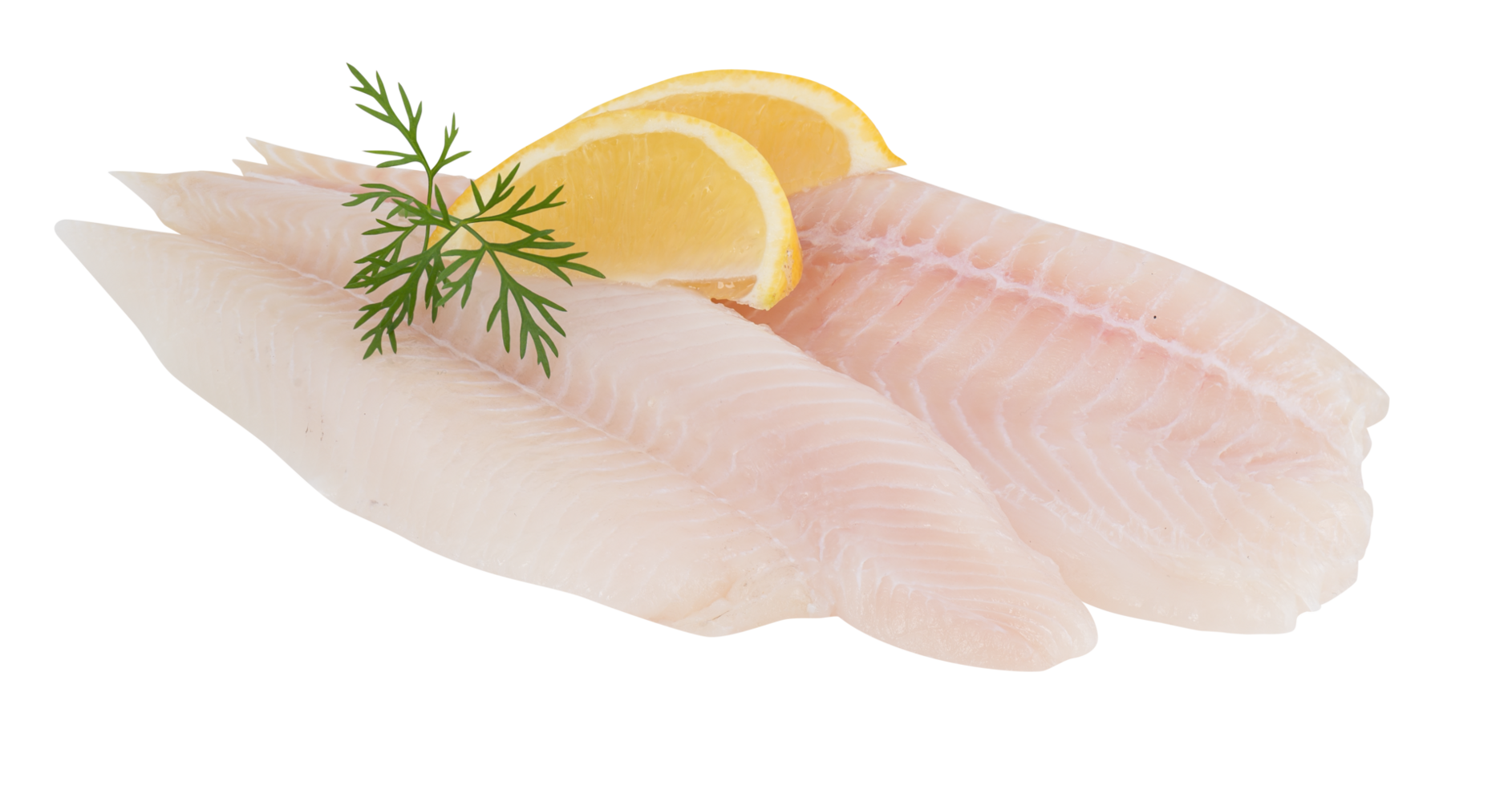 Fresh sea bass fillet cut out isolated transparent background png