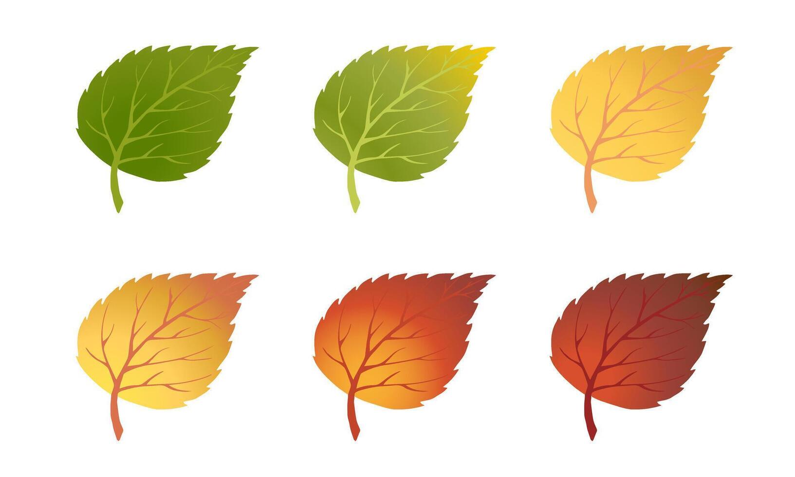 Realistic Falling Autumn Leaves. Simple fashionable design Forest autumn Birch leaves flat style. Bright concept for modern invitation cards, posters, banners, advertising for Thanksgiving Day. vector