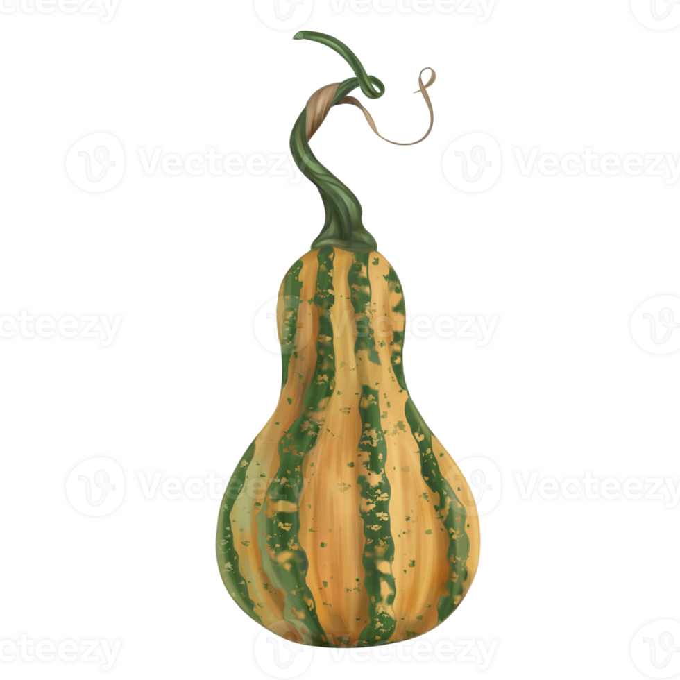 Oval yellow-green pumpkin with a stalk, autumn harvest. Fresh farm vegetables, healthy food, vegetarianism. Garden plants, agriculture. Isolated digital handmade illustration. A graphic design element png