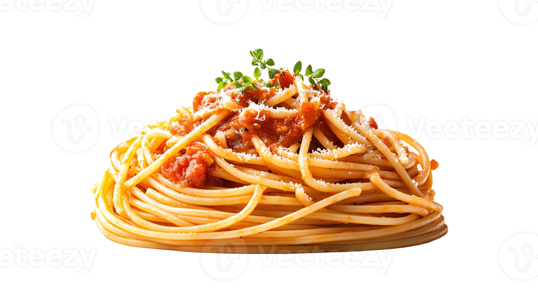 delicious spaghetti pasta with tomato sauce, one garnished with basil, the other with herbs and grated cheese. png