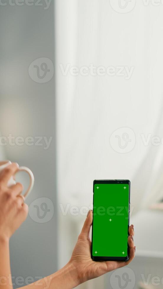 Freelancer woman drinking coffee in office desk talking with collegue using mock up green screen chroma key smartphone. Caucasian female searching online information use isolated phone photo