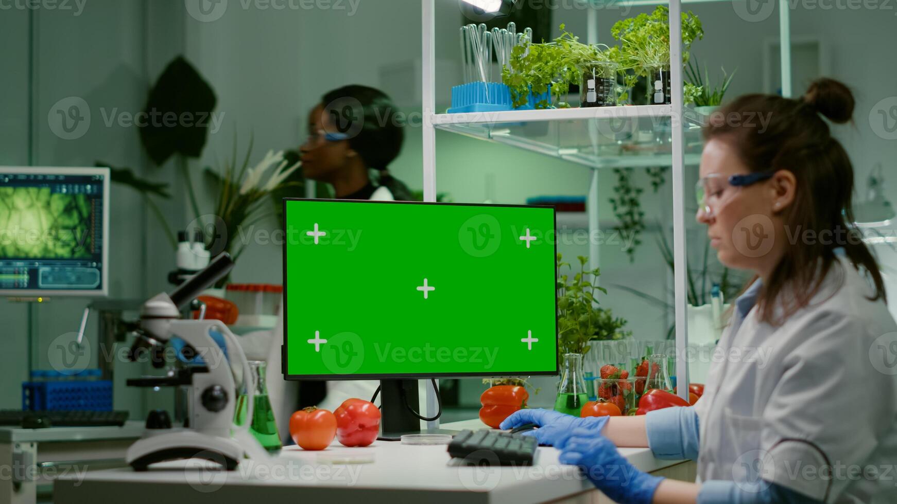 Pharmaceutical researcher looking at computer with mock up green screen chroma key with isolated display typing on keyboard medical expertise. Biologist working in microbiology laboratory photo