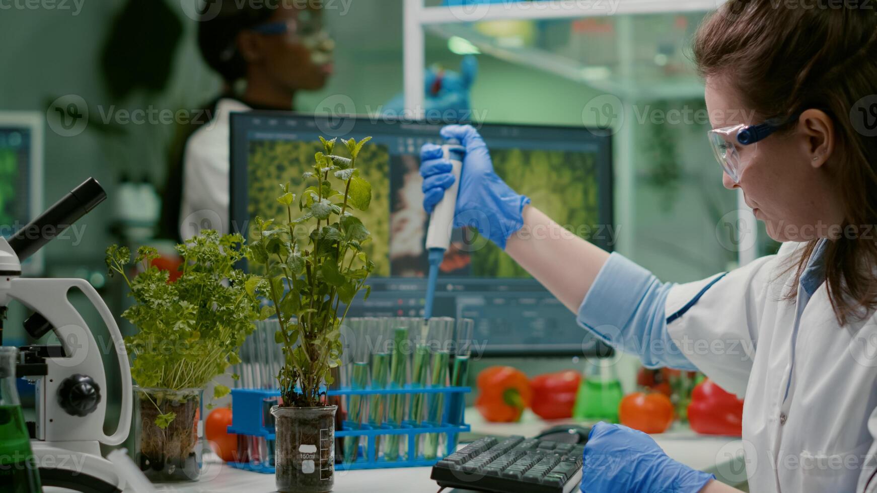Biologist researcher using micropipette putting genetic solution in test tube developing gmo medical expertise. Specialist scientist in white coat working in professional microbiology laboratory photo