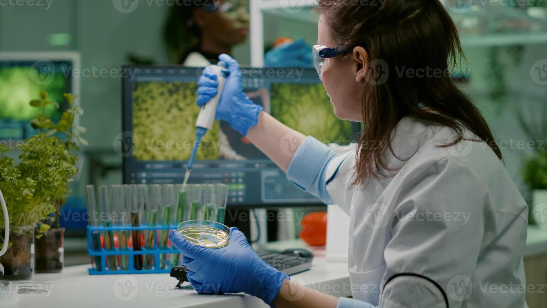Scientist woman taking genetic solution from test tube with micropipette putting in petri dish analyzing medical expertise. Biologist researcher working in pharmaceutical laboratory photo