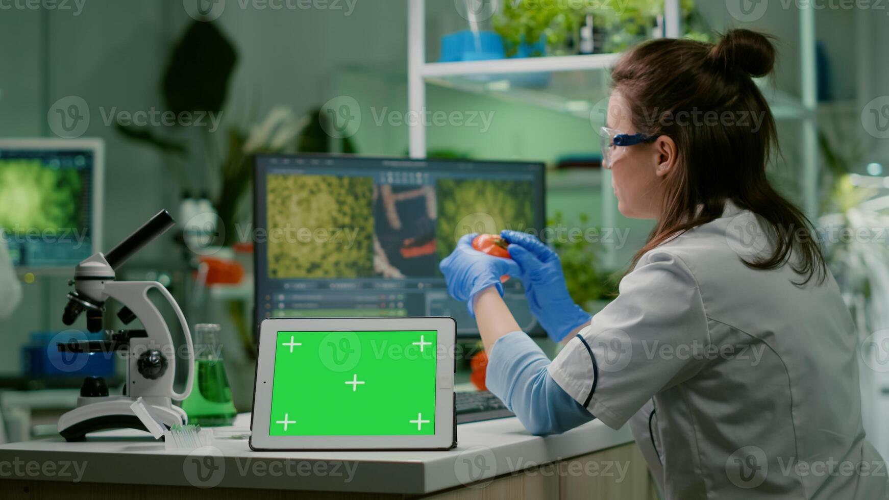 Chemist researcher typing microbiology expertise on computer while in front standing on table tablet with mock up green screen chroma key with isolated display. Biologist working in medical lab photo