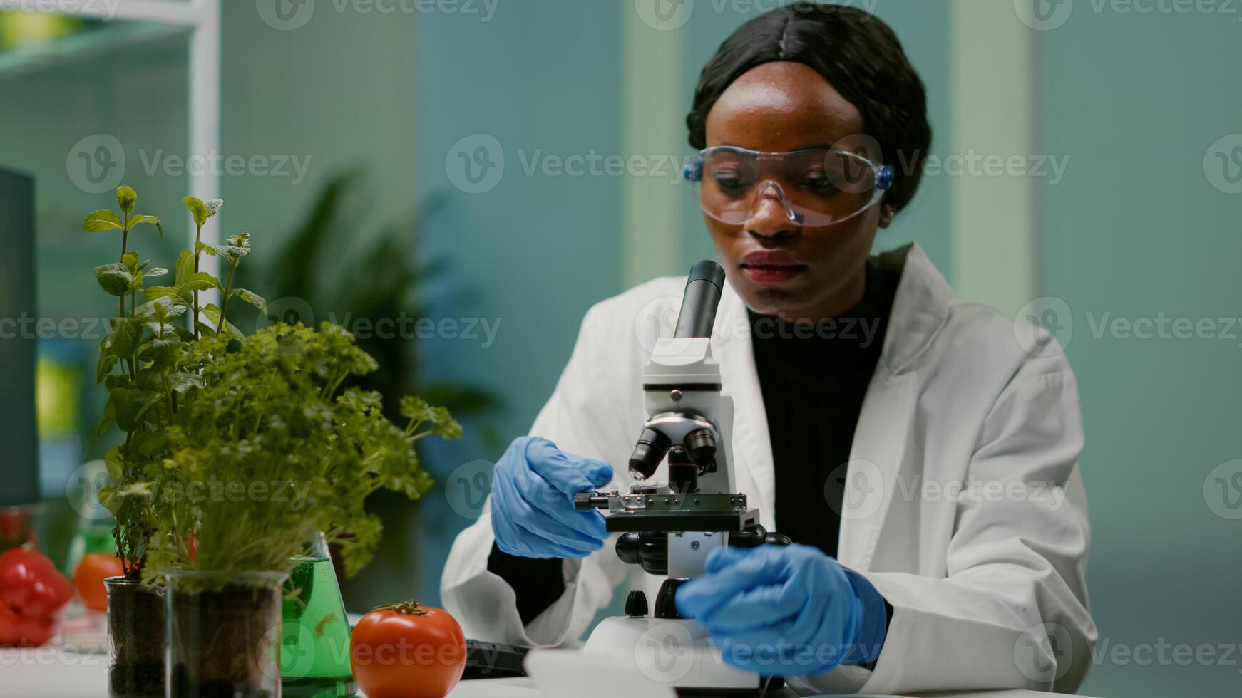 Portrait of pharmaceutical woman putting slide under microscope examining biological sample for medical experiment. Biologist analyzing organic agriculture plants in microbiology scientific laboratory photo