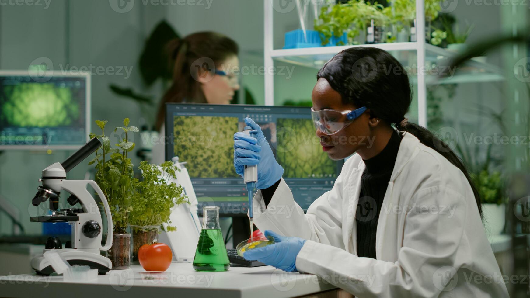Biologist scientist african woman researcher taking genetic solution from test tube with micropipette putting in petri dish analyzing gmo of sapling working in biological laboratory. photo