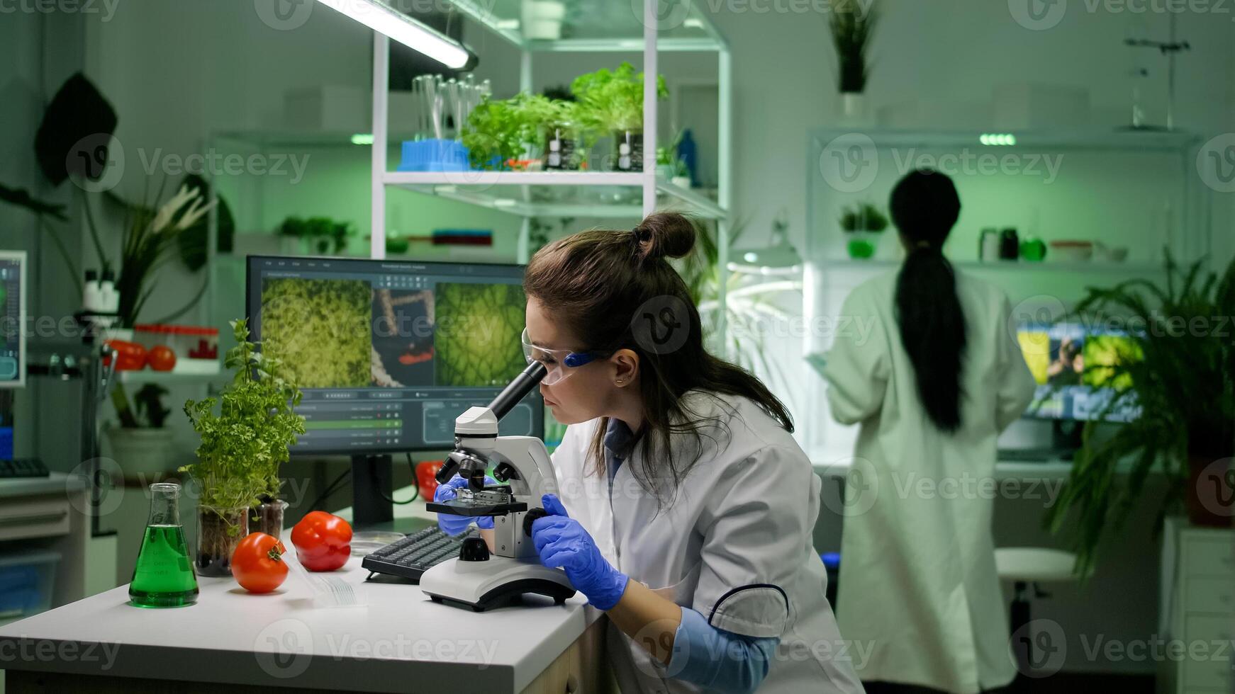 Slide view of chemist researcher analyzing gmo green leaf under medical microscope observing genetic mutation. Biologist scientist examining organic agriculture plants in microbiology scientific lab photo
