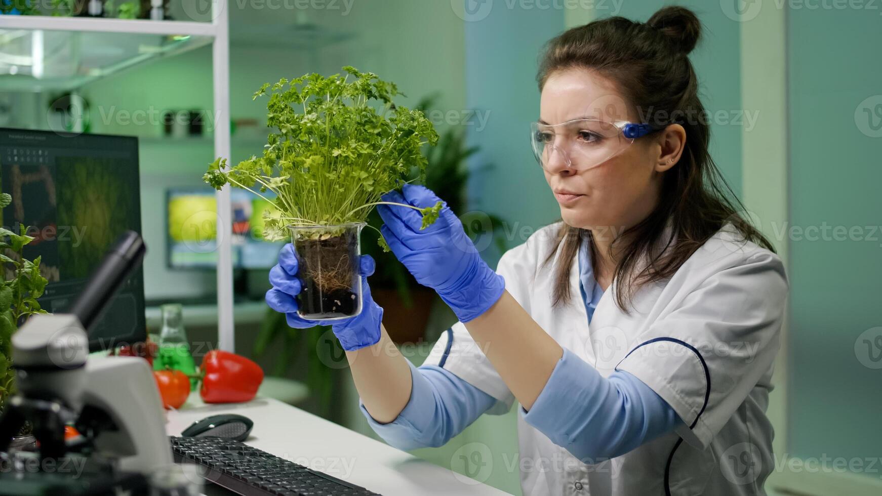 Botanist researcher woman examining green sapling observing genetic mutation analyzing organic plants for agriculture experiment. Chemist working in biological pharmaceutical laboratory photo