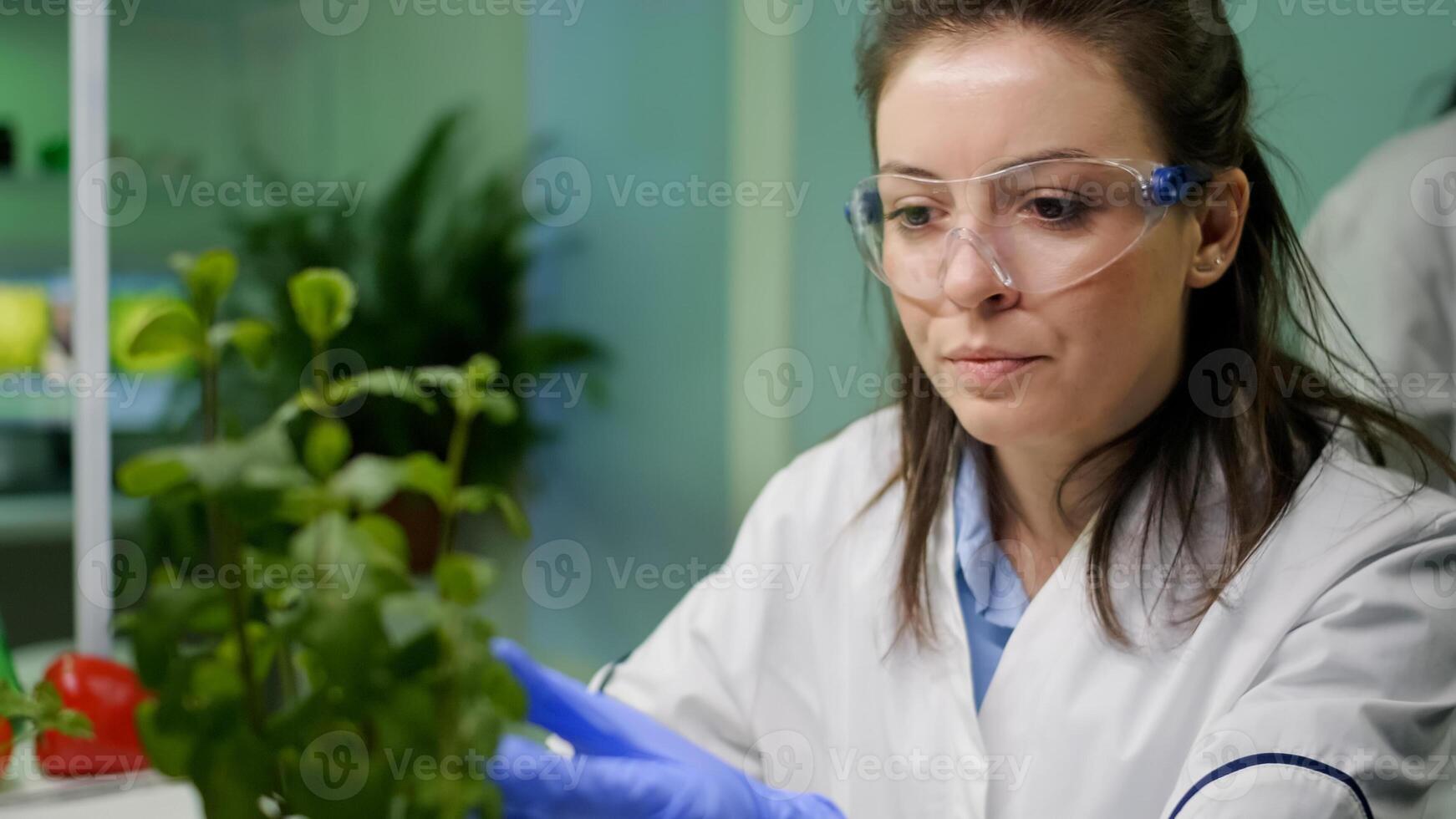 Closeup of botanist woman checking sapling for agriculture experiment observing genetic mutation Biologist specialist researcher working in biotechnology laboratory researching gmo plants photo