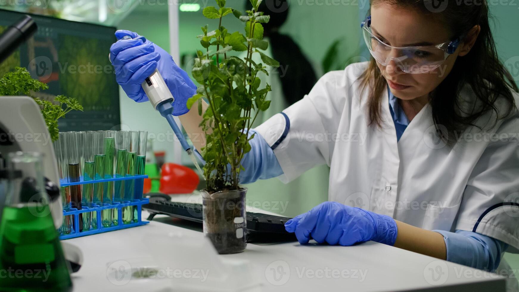 Biochemist scientific taking green liquid with micropieptte puttin on sapling observing genetic mutation typing biochemistry expertise on computer. Biologist woman working in biochemistry laboratory photo