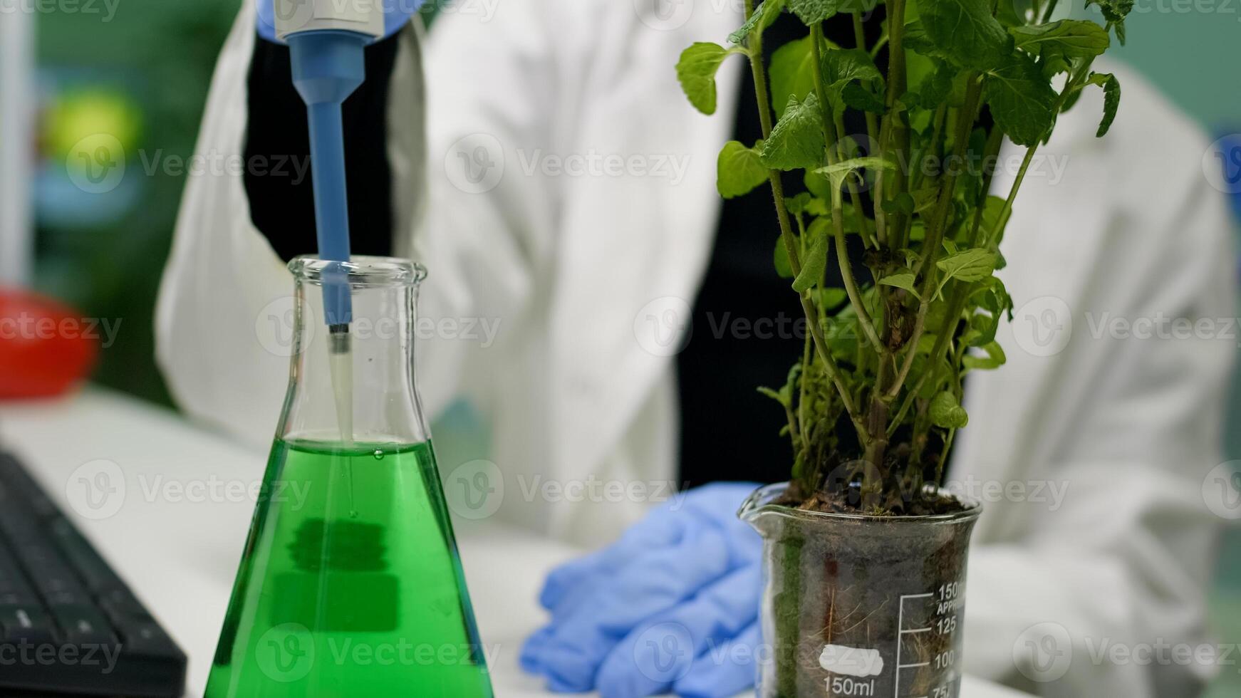 Closeup of botanist woman using micropipette for taking genetic liquid putting on sapling examining botany expertise. Scientist growing organic plants in microbiology laboratory photo