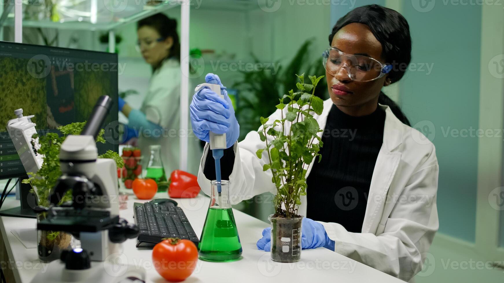 African botanist researcher taking genetic solution from test tube with micropipette putting on sapling analyzing gmo of botany plants. Biologist woman working in biological laboratory. photo