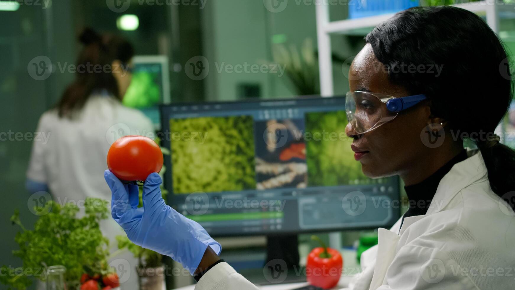 Scientist researcher woman checking tomato injected with pesticides for gmo test, in background her coleglegue typing chemical test Biochemist working in biotechnology organic laboratory photo