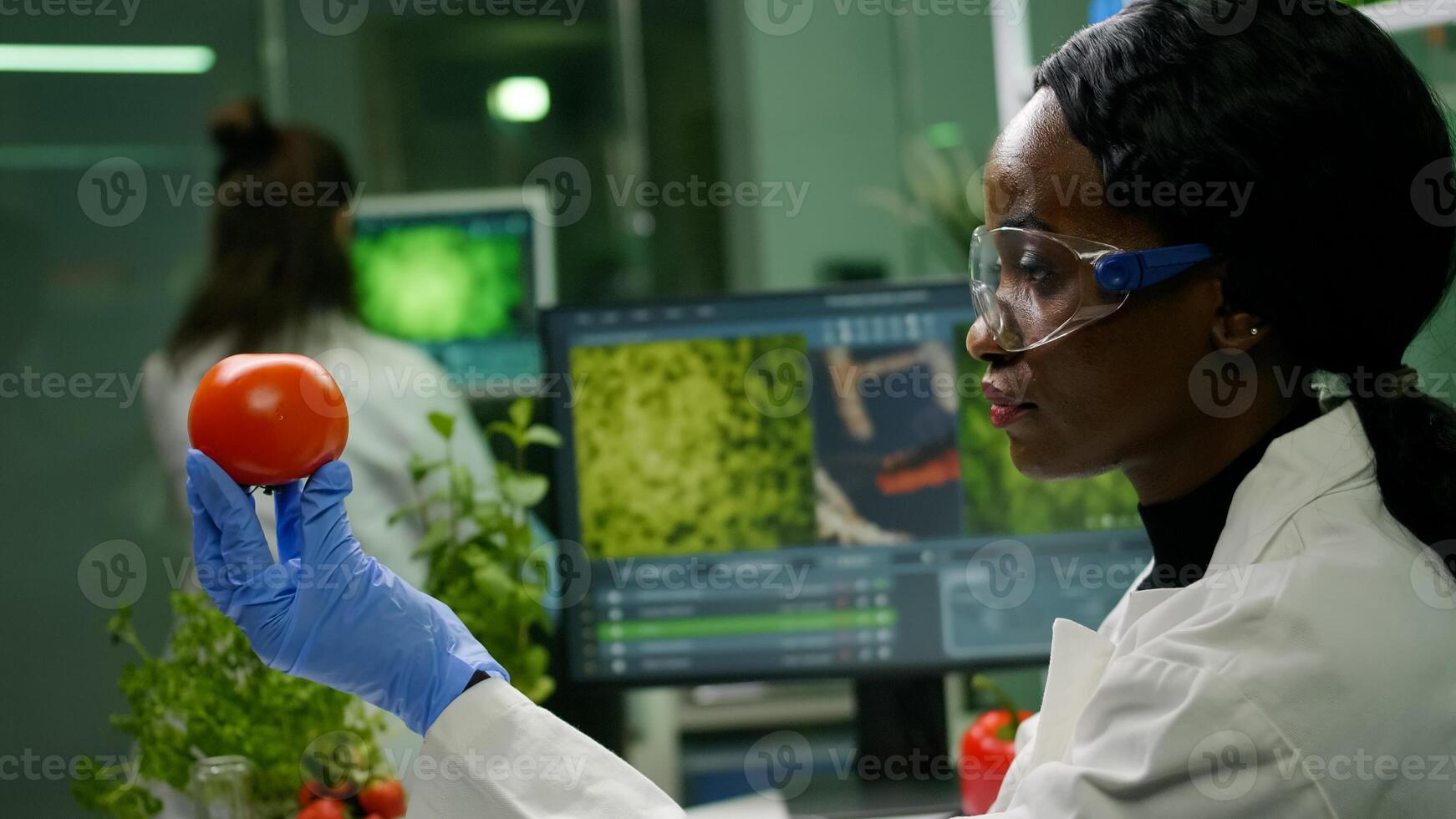 African scientist woman looking at tomato while her collegue typing dna test on computer in background. Biochemist researcher working in biotechnology organic laboratory analyzing chemistry experiment photo