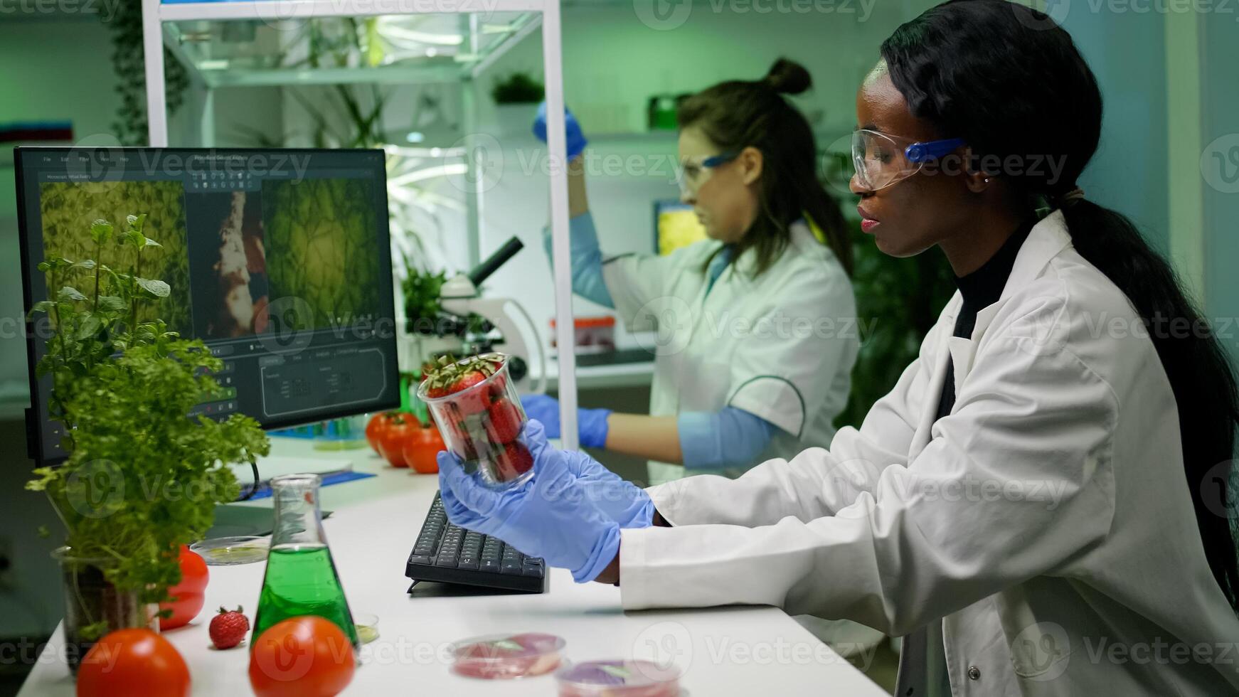 Pharmaceutical scientist looking at strawberry injecting with pesticides while typing biology expertise on computer. Medical team working in pharmaceutical laboratory examining gmo photo