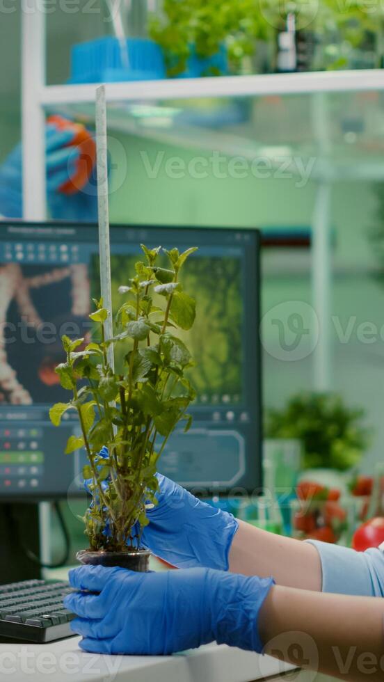 Researcher woman measuring eco sapling while observing biological transformation. Scientist biologist examining genetic mutation on plants, working in biotechnology laboratory photo