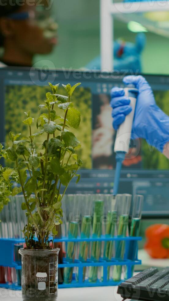 Biologist researcher using micropipette putting genetic solution in test tube developing gmo medical expertise. Specialist scientist in white coat working in professional microbiology laboratory photo
