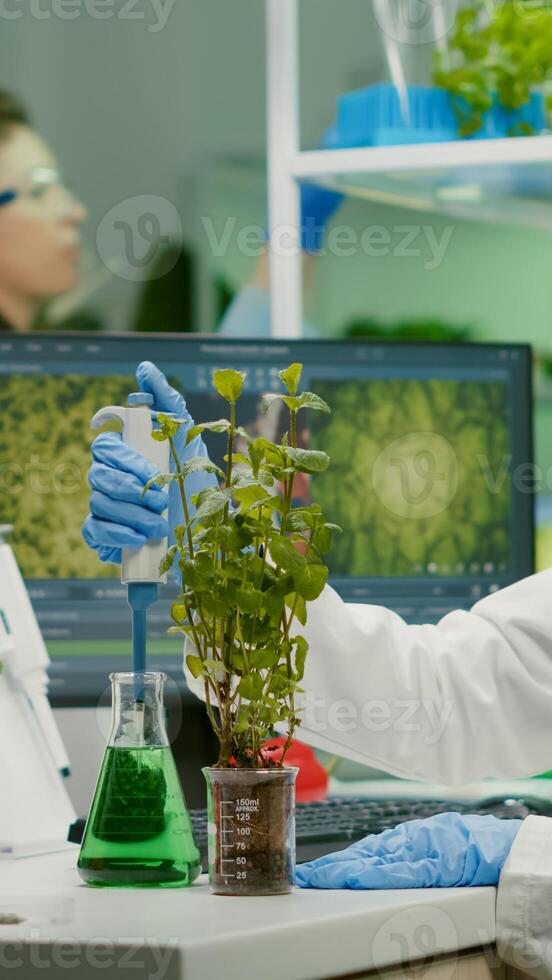 Biologist scientist talking solution from medical flask putting on green sapling for genetic experiment. womanresearcher in white coat working in professional microbiology laboratory photo