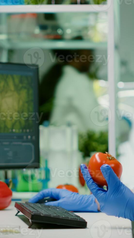 Pharmaceutical chemist examining tomato for microbiology experiment typing medical information on computer. Biochemist injecting healty vegetables with pesticides working in agriculture laboratory photo