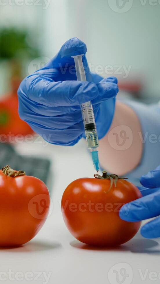 Closeup of scientist injectinging tomato with genetic liquid using medical syringe for microbiology experiment. Biochemist working in pharmaceutical laboratory discovery genetic mutation of vegetables photo