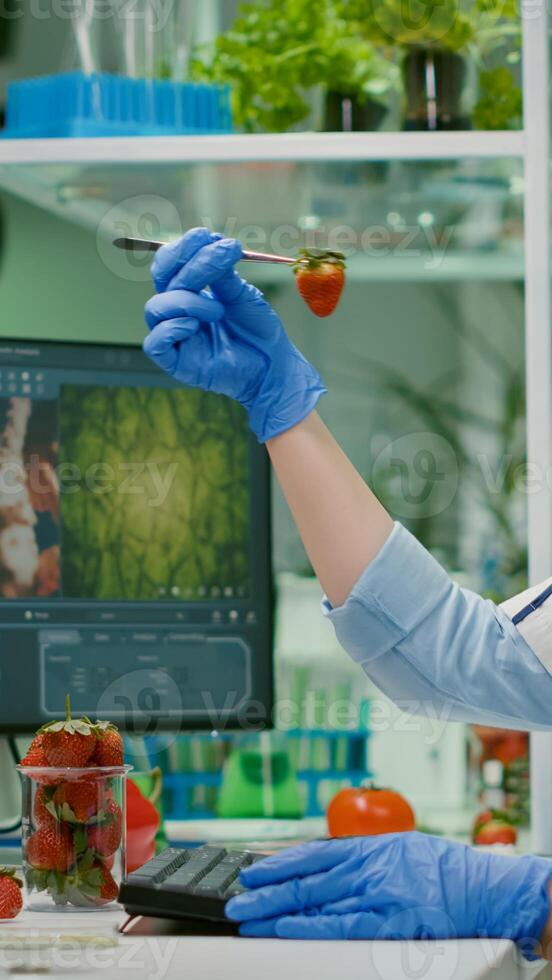 Scientist chemist checking strawberry using medical tweezers working in biotechnology laboratory. Biochemist examining organic fruits typing medical expertise information on computer photo