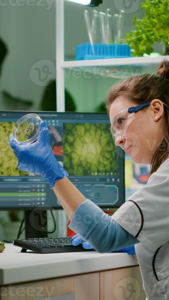 Botanist researcher typing medical expertise on computer while analyzing sample leaf for biological experiment. Biologist specialist examining organic gmo test while working in botany laboratory photo