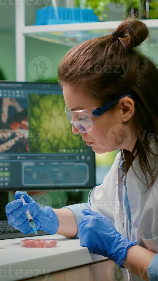 Chemist injecting vegan beef meat with protein using medical syringe for microbiology experiment. Biochemist woman researching vegetareian food modified genetically working in chemistry laboratory photo