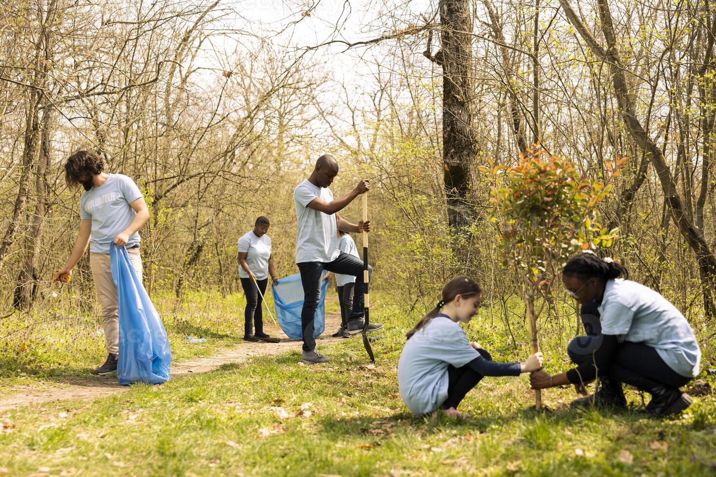 Diverse people working on reforestation and litter cleanup in the forest, fighting to restore natural environment. Group of activists joining community service activity, save the planet. photo