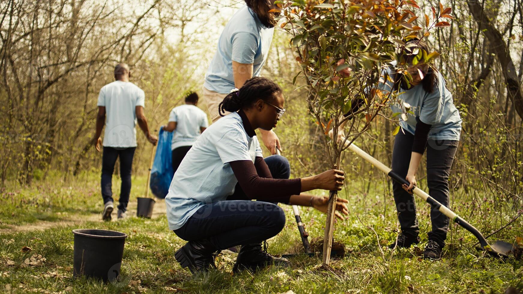 Diverse climate change activists work to plant trees in the woods, contributing to nature and wildlife preservation. Volunteers bringing ecological justice to the natural forest habitat. Camera B. photo