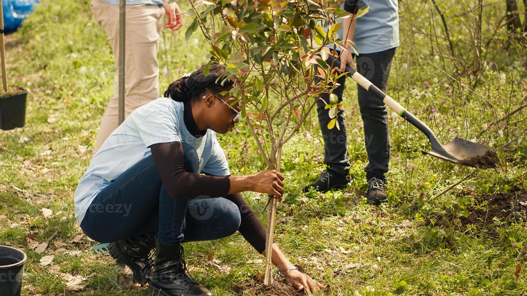 Diverse climate change activists work to plant trees in the woods, contributing to nature and wildlife preservation. Volunteers bringing ecological justice to the natural forest habitat. Camera A. photo