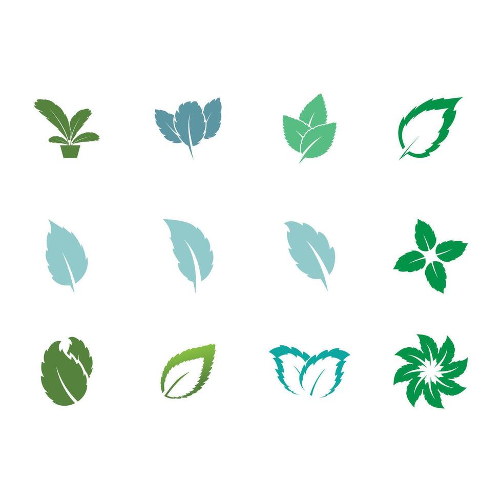 Leaf mint logo template symbol design vector