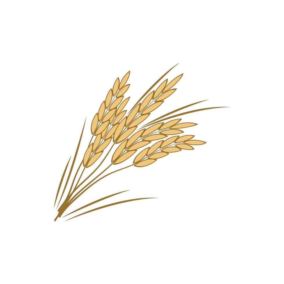 Agriculture wheat logo template and symbol vector
