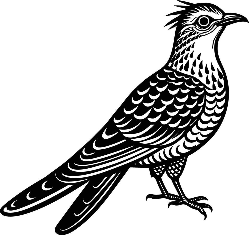 A silhouette Cuckoo Bird vector