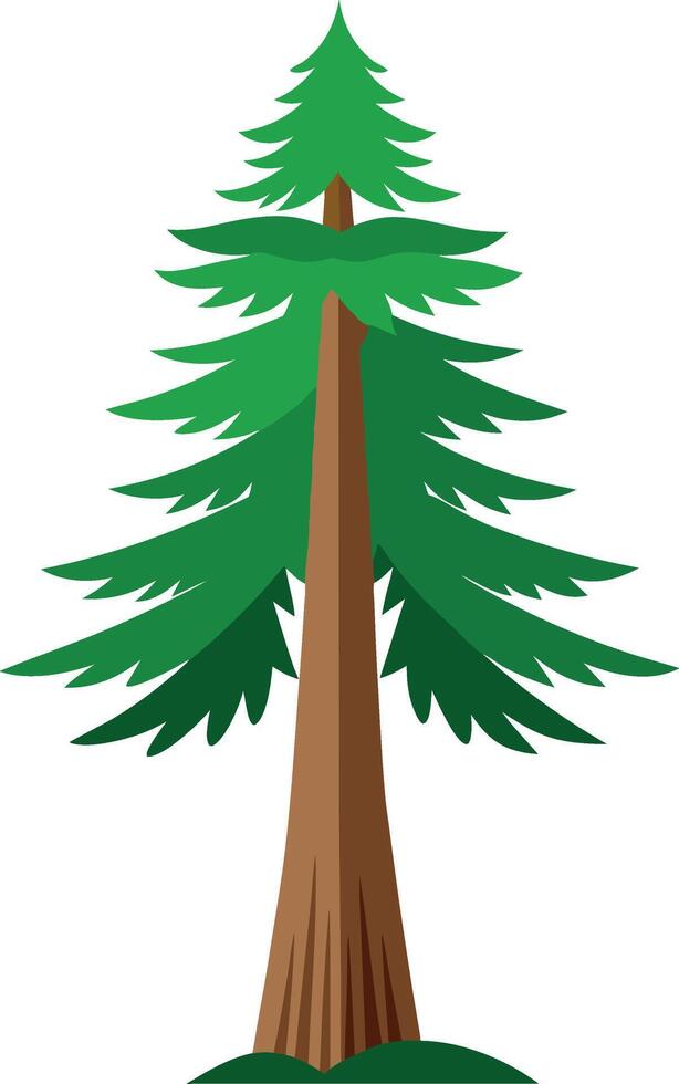 Redwood tree Art vector