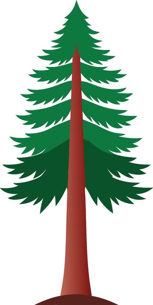 Old engraved illustration of Giant sequoia cone vector