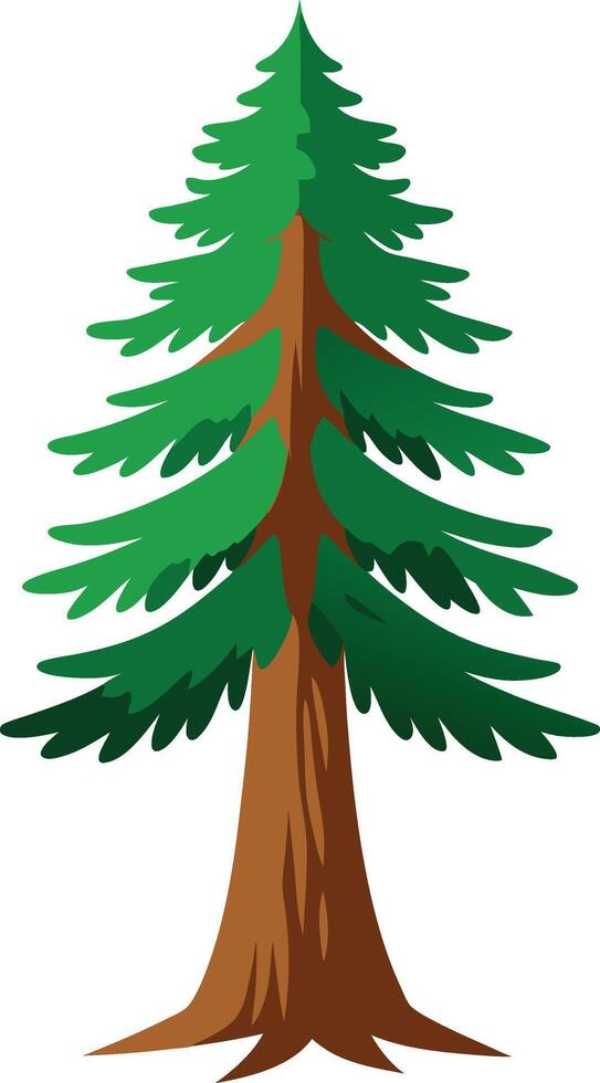 Green Leaf of Redwood tree vector