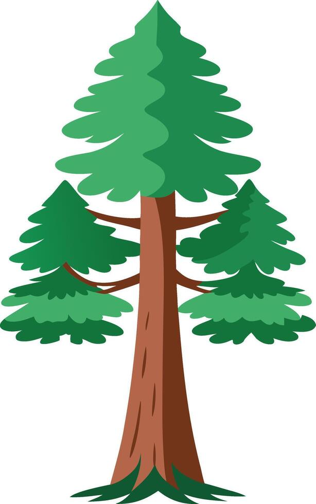 Illustration of coniferous tree vector