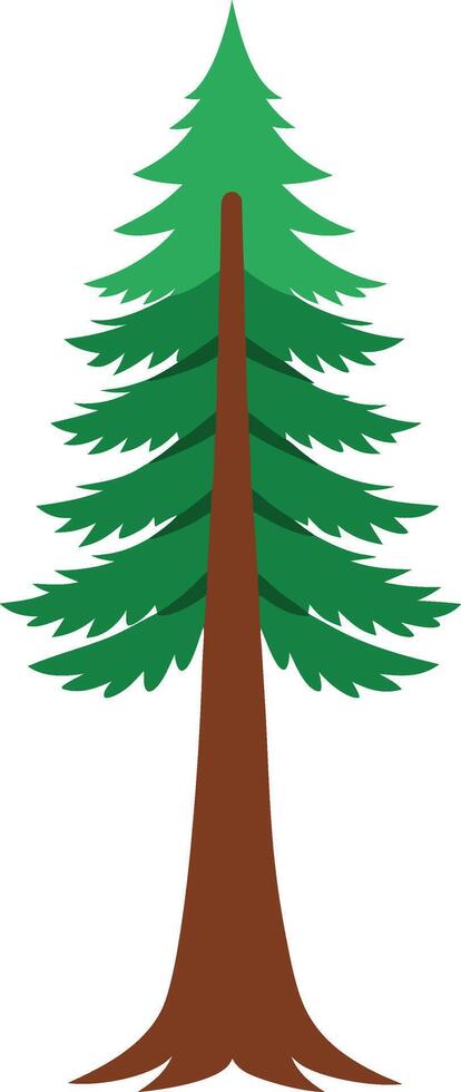 Hand Drawing of a Redwood tree vector